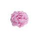 Daisy Hårklemme - Lille - Pastel Rosa
