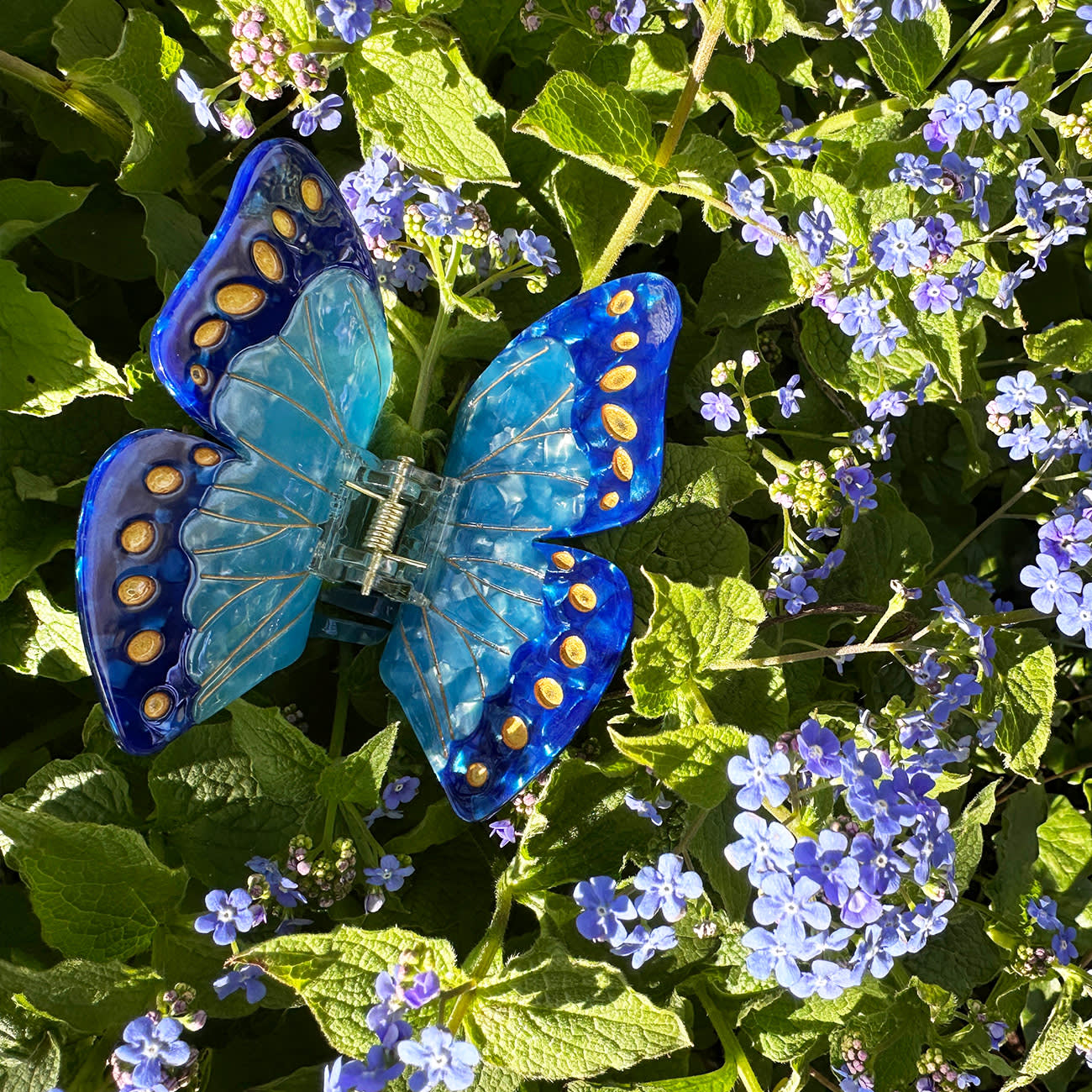 Morpho Sommerfugl Hårklemme - Blå