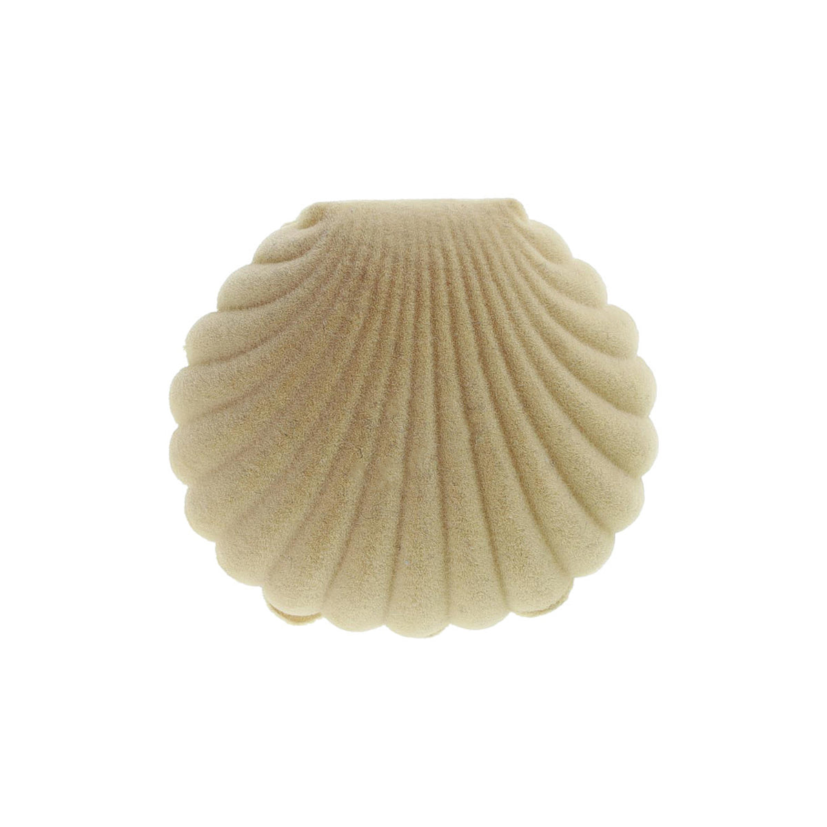 Shell Smykkeæske - Karry