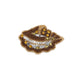 Konkylie Broche - Brun