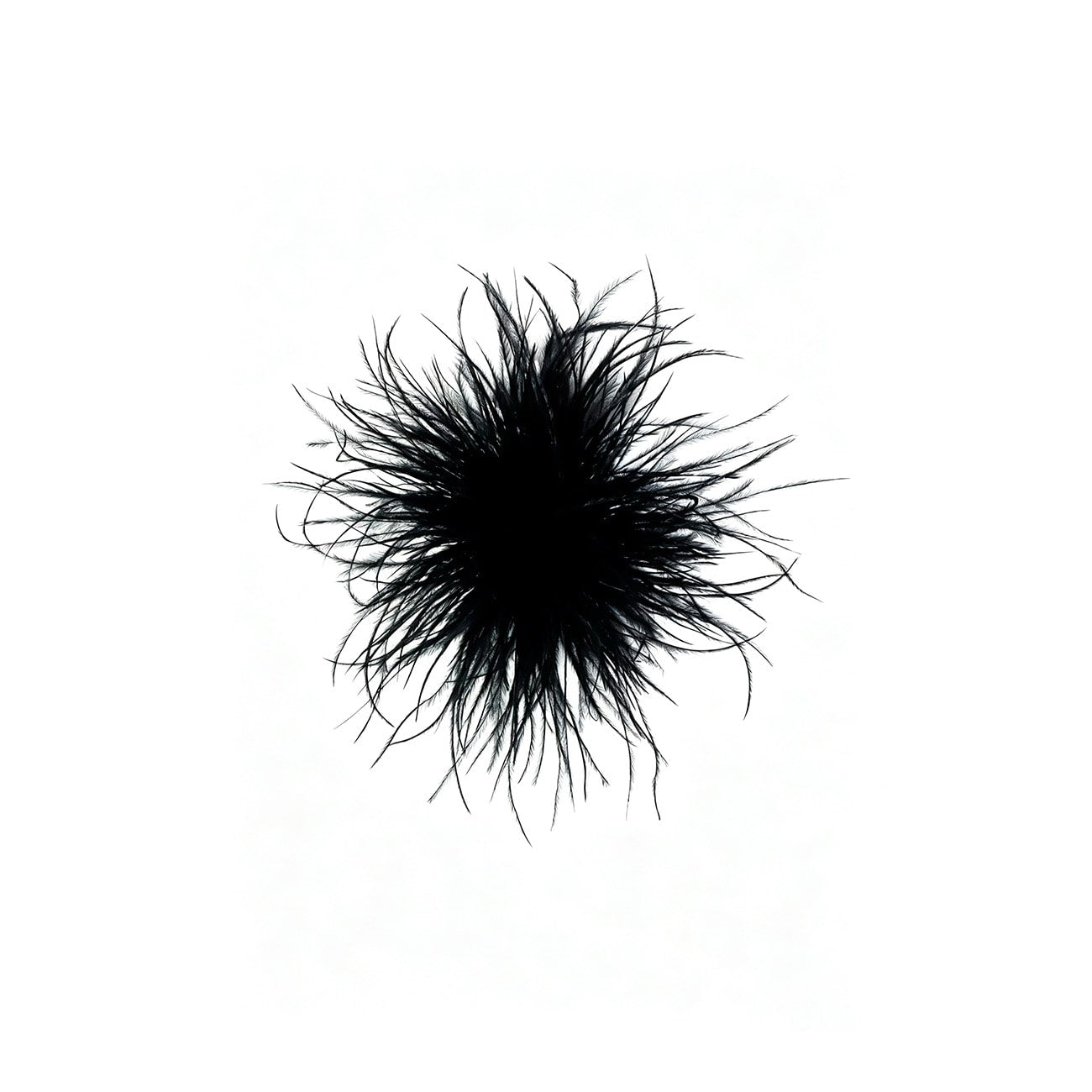 Robin Broche - Sort (FORUDBESTILLING)