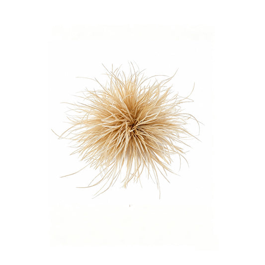 Robin Broche - Beige (FORUDBESTILLING)