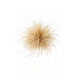Robin Broche - Beige