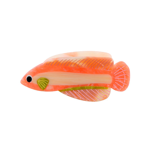 Rødfisk Hårklemme - Koral
