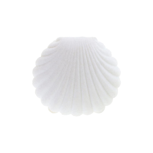 Shell Smykkeæske - Hvid